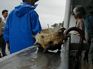 P7110033.JPG