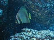 pb030011.jpg