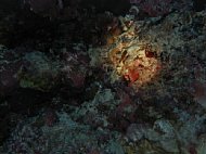 pb030024.jpg