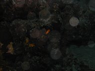 pb030025.jpg