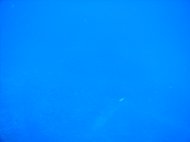 pb040056.jpg