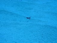 pb040080.jpg