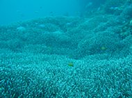 p4160189.jpg