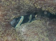 P6040020.JPG