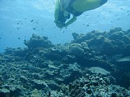 P6040029.JPG