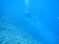 P6050005.JPG