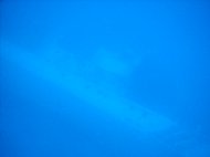 P6050037.JPG