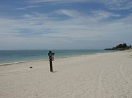 P6060006.JPG
