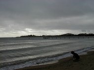 p9230027.jpg