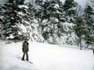 ski02.jpg
